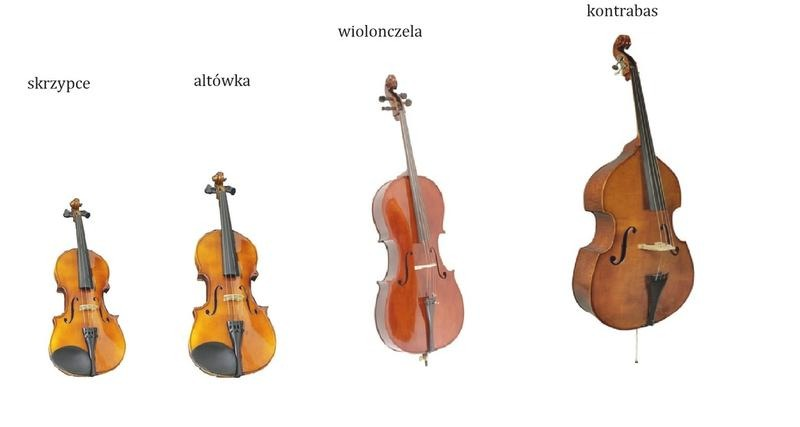 Instrumenty podobne do gitary: który wybrać? Porównanie brzmienia i trudności gry