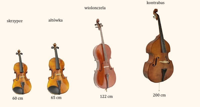 Instrumenty smyczkowe – rodzaje, budowa i charakter brzmienia