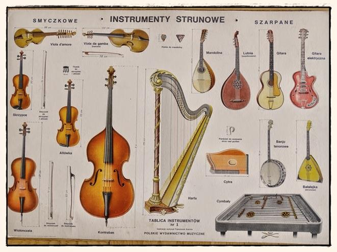 Instrumenty strunowe porównanie